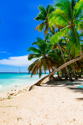 Similar image 18136329