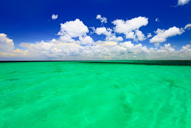 Similar image 18136360