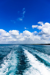 Similar image 18136428