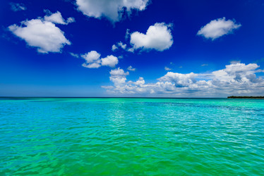 Similar image 18136375