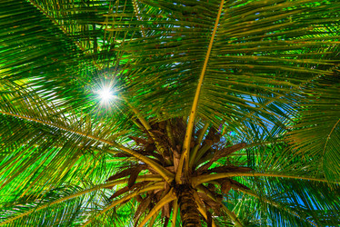 Similar image 18136378