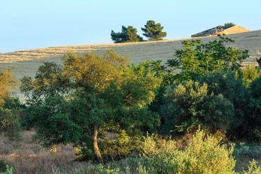 Similar image 18138643