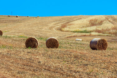 Similar image 18138648