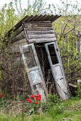 Similar image 17817680