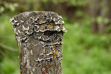 Similar image 17817681