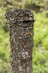 Similar image 17817682