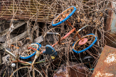 Similar image 17817712