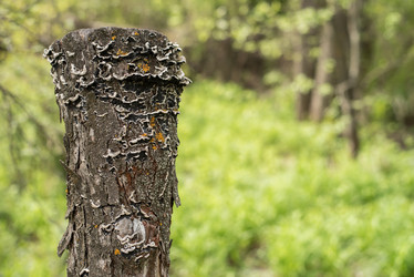 Similar image 17817714