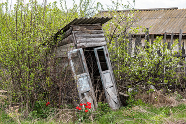 Similar image 17817738