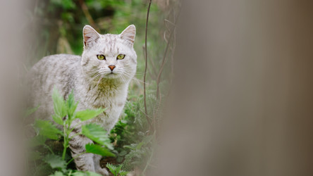 Similar image 17817739