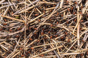 Similar image 17817758