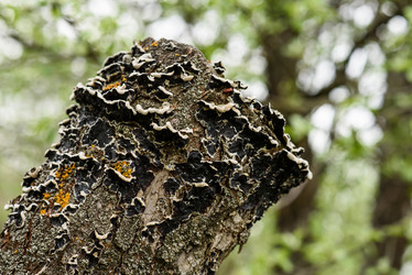 Similar image 17817779