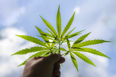 Similar image 17817780