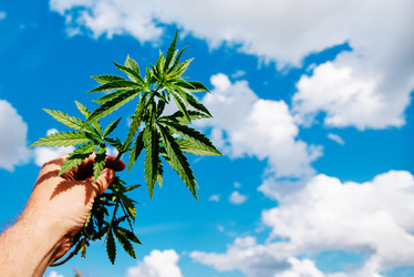 Similar image 17817946