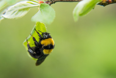 Similar image 17817947