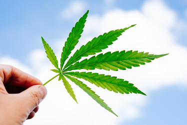 Similar image 17817948