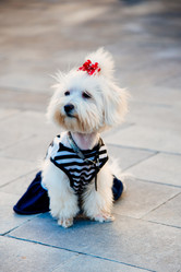 Similar image 17817952