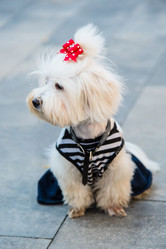 Similar image 17817953