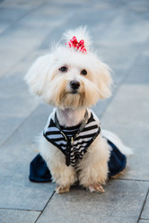 Similar image 17817954