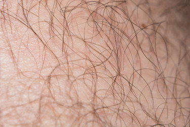 Similar image 17817958