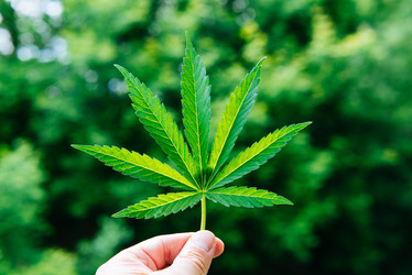 Similar image 17817982