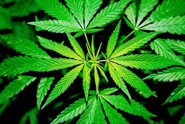 Similar image 17817983