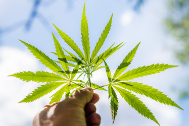 Similar image 17817985