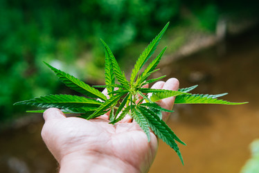 Similar image 17817987