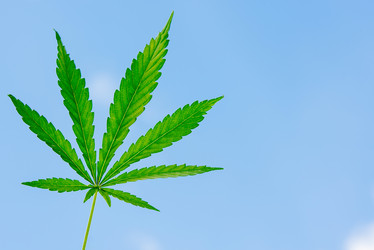 Similar image 17817988