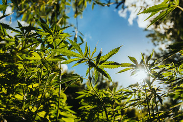 Similar image 17818006