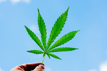 Similar image 17818009