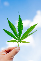 Similar image 17818011