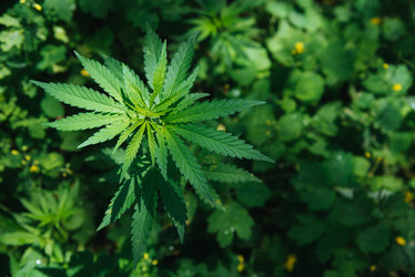 Similar image 17818029