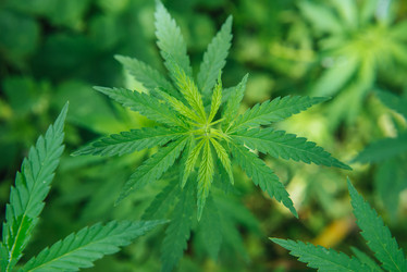 Similar image 17818030