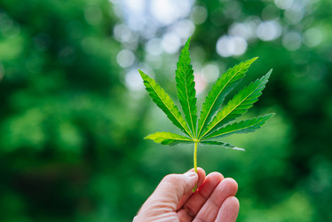 Similar image 17818031