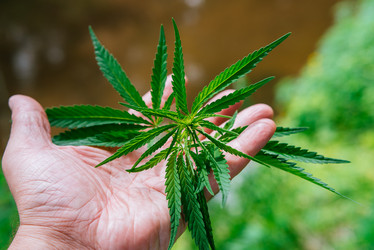 Similar image 17818032