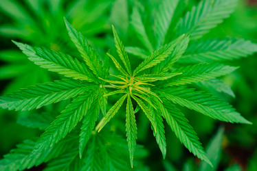 Similar image 17818045