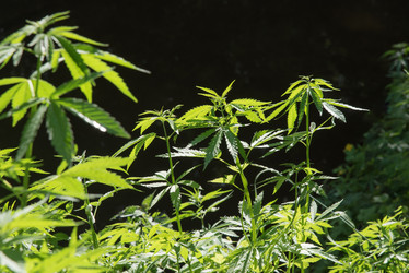 Similar image 17818047