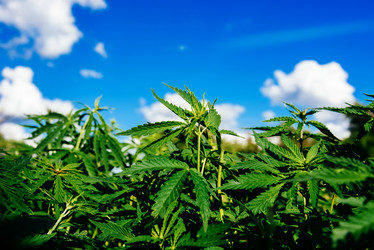 Similar image 17818048