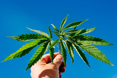 Similar image 17818061