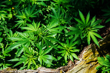 Similar image 17818063