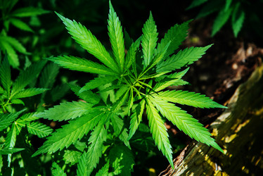 Similar image 17818088