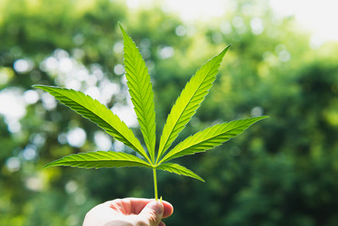 Similar image 17818184