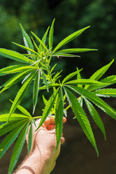 Similar image 17818212