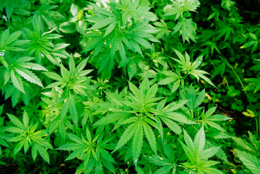 Similar image 17818234