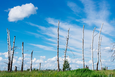 Similar image 17817697