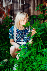 Similar image 17817719