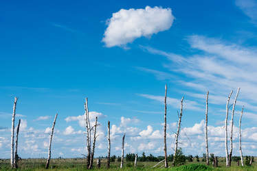 Similar image 17817721