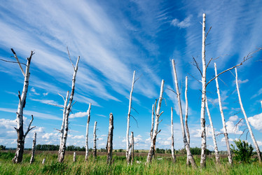 Similar image 17817726