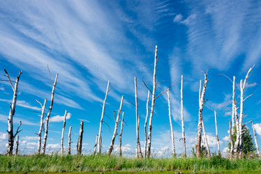 Similar image 17817742